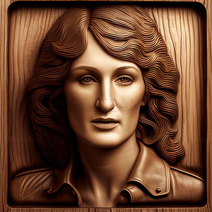 3D model Karen Silkwood Silkwood Meryl Streep (STL)